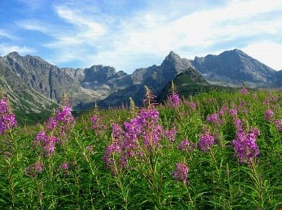 Il Parco Nazionale dei Tatra; Zakopane Cracovia  