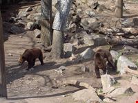 stockholm skansen
