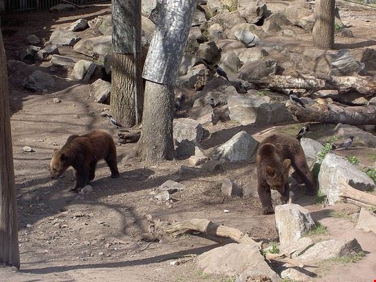  Stockholm Creative Commons - Andre Vasconcelos Creative Commons