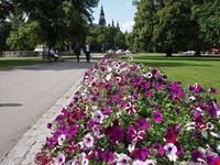 stockholm djurgarden