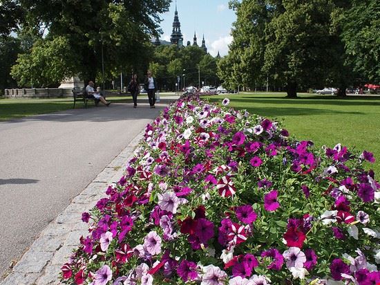 Djurgarden Stockholm Creative Commons - Nick Sieger Creative Commons
