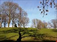stockholm kronobergsparken