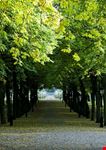 stockholm humlegarden