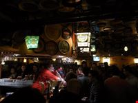 brussels delirium cafe