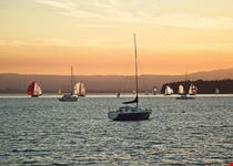 tauranga sonnenuntergang und yachten in taurangas hafen