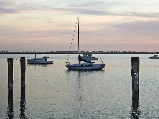tauranga taurangas hafen