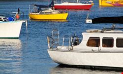 tauranga yachten in taurangas hafen