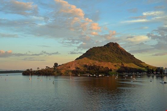  Tauranga wehunts - Creative Commons wehunts