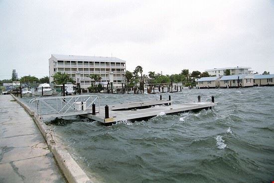  Key West Creative Commons - Florida Keys - Public Libraries Creative Commons