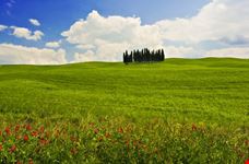 Val d'Orcia