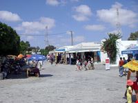 djerba food and wine