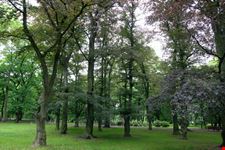 Parco di Stromovka