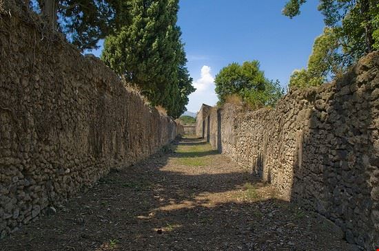  Pompei snoozeboy - Creative Commons snoozeboy