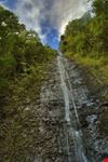 honolulu honolulu watershed forest reserve