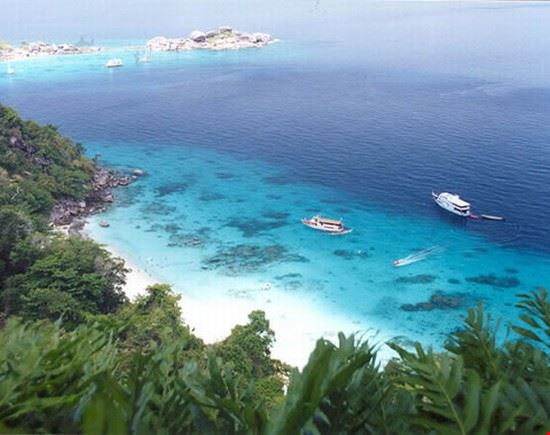 Trang