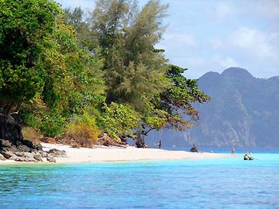 Trang