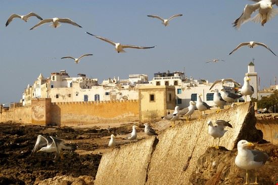  Essaouira 48077422 - www.shutterstock.com 48077422
