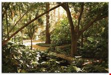 malaga jardin botanique la concepcion a malaga