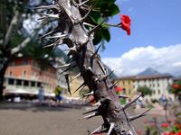 riva del garda riva del garda