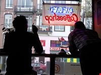 amsterdam coffeeshop amsterdam