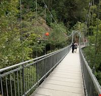 algund algunder waalweg algund algunder waalweg