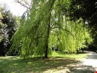 Giardino inglese Reggia