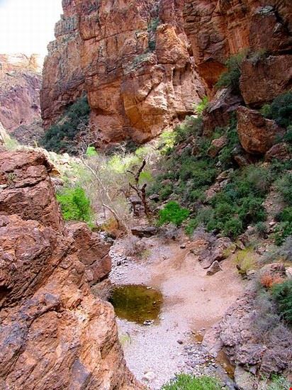 Tonto National Forest