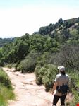 santa barbara rattlesnake canyon park