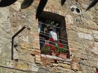 monteriggioni blumenfenster