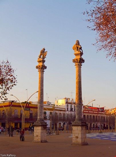 Alameda Siviglia Tom Raftery - Creative Commons Tom Raftery