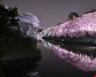 pink tokyo tokyo