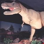 las vegas las vegas natural history museum
