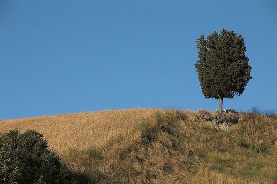  Casciana Terme Eric Perrone - Creative Commons Eric Perrone