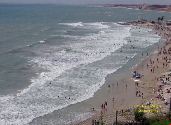  Alicante Pepe (Max_Max) - Creative Commons Pepe (Max_Max)