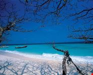 Rayong