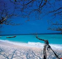Rayong Rayong