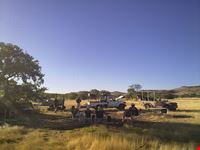Camping Safari