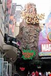 Rainforest Cafe