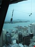 auckland skydiving vom sky tower