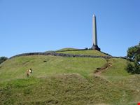 auckland one tree hill