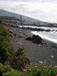 Puerto  Cruz Playa le Jardin
