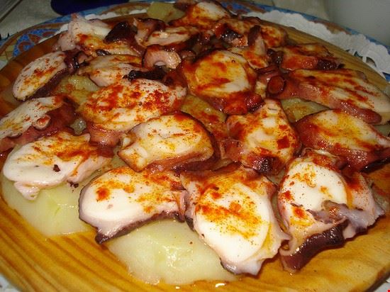  Latina _vega_ - Creative Commons _vega_