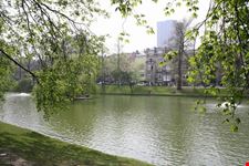 brussels ixelles ponds in spring