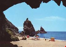 Scoglio dell'ulivo