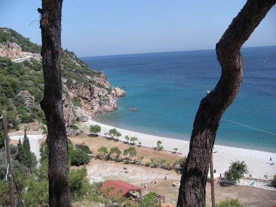 Greci