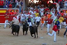 pamplona pamplona encierros