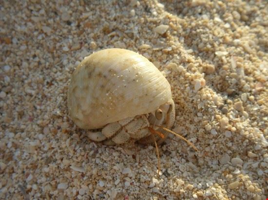 Marsa Alam  