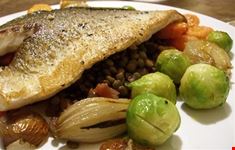 brussels fishy on a dishy