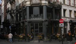 brussels le roi des belges