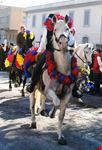 La festa di s. Antonio